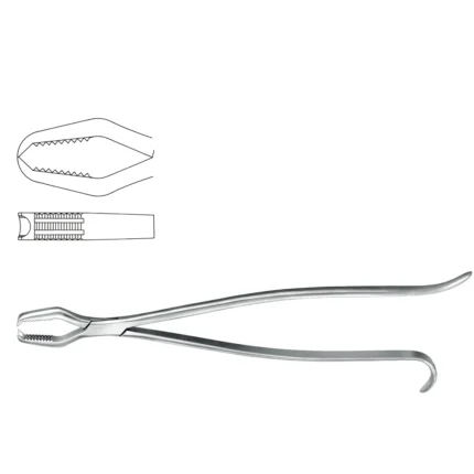 KERN LANE Bone Holding Forceps